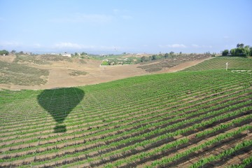 Hot Air Balloon Adventure with A Grape Escape floating over Temecula Valley.