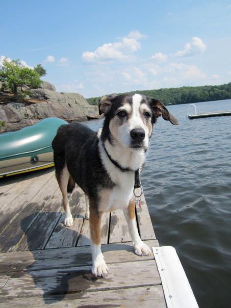 Alice on the dock