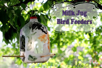 Milk Jug Bird Feeder - UrbanMoms