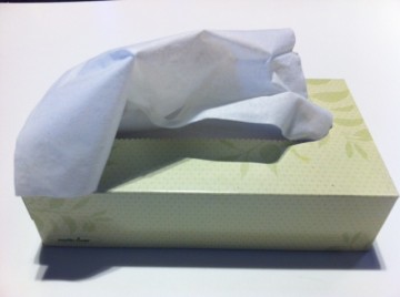 tissue2