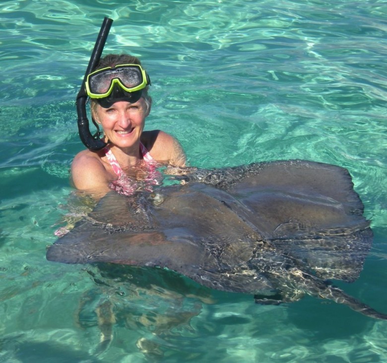 snorkel and stingray