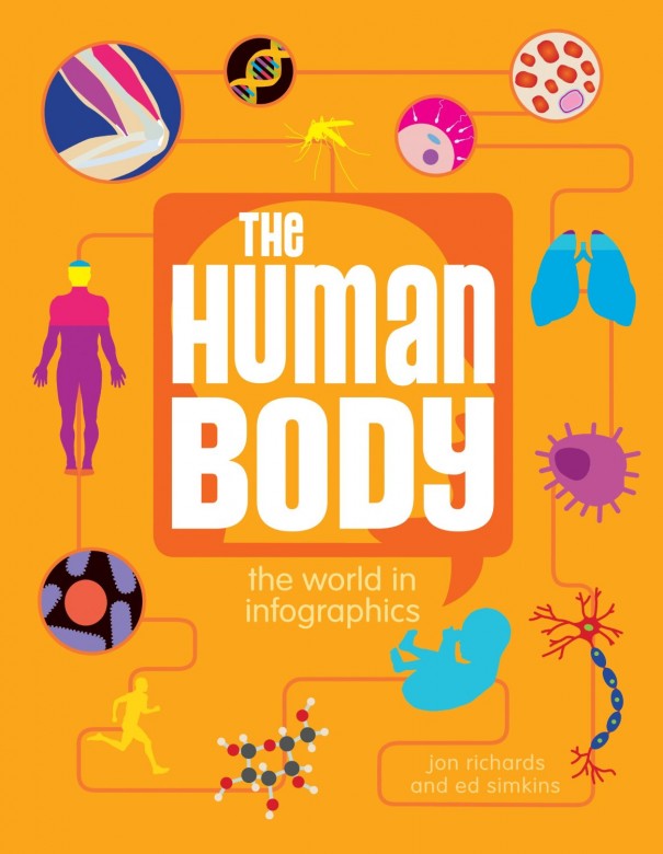 the human body