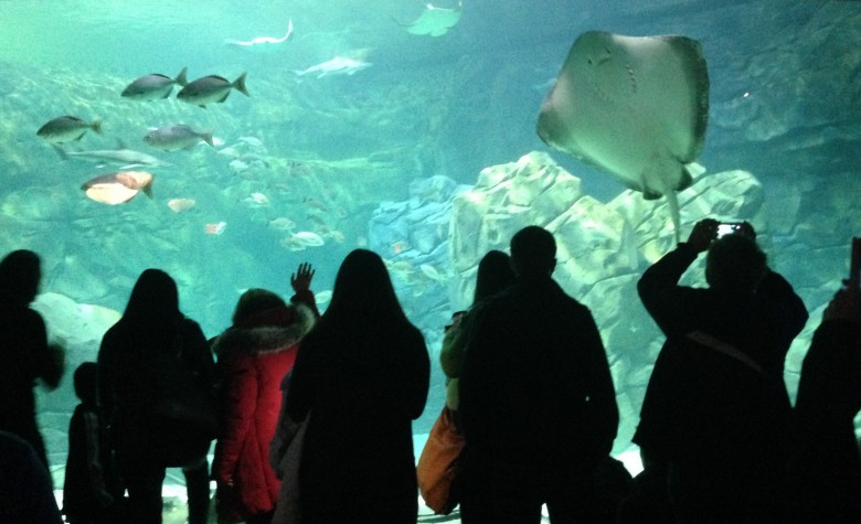 Ripley's Aquarium of Canada