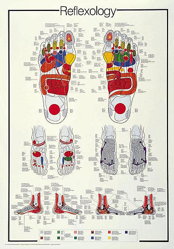 POEDReflexology500