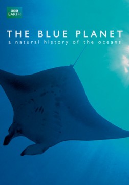 The Blue Planet on Netflix