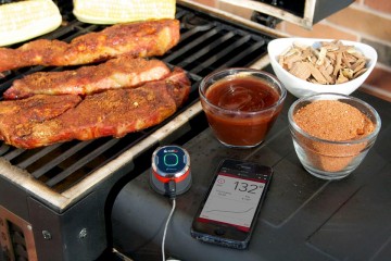 iGrill Thermometer