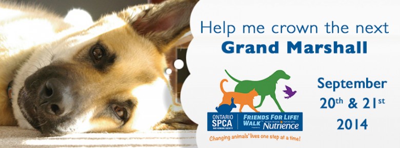 OSPCA Grand Marshall Contest - Facebook Banner