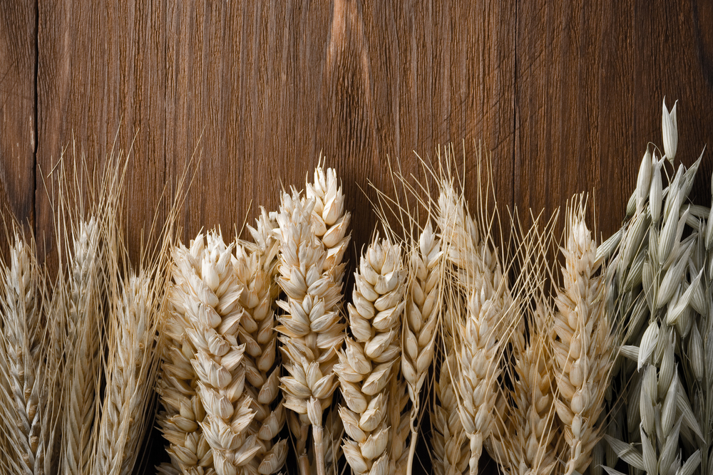 ears of cereals on wooden background