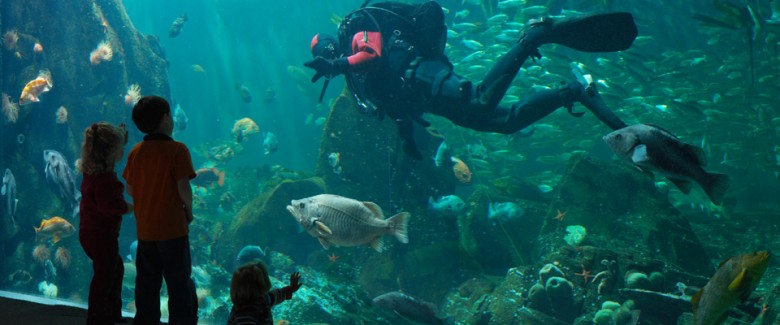 960x400_Vancouver_Aquarium