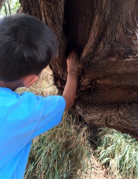 Geocaching. Photo: Sonya D. 