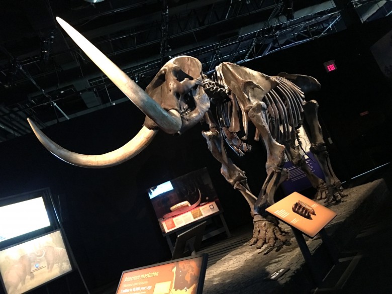 Ontario Science Centre. Photo credit: sonya Davidson