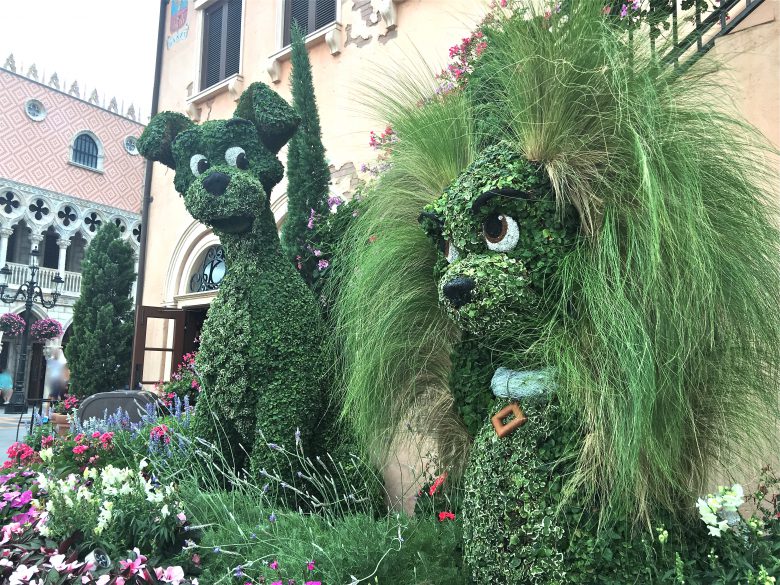 Disney Epcot Flower and Garden Festival Photo credit: Sonya D. 