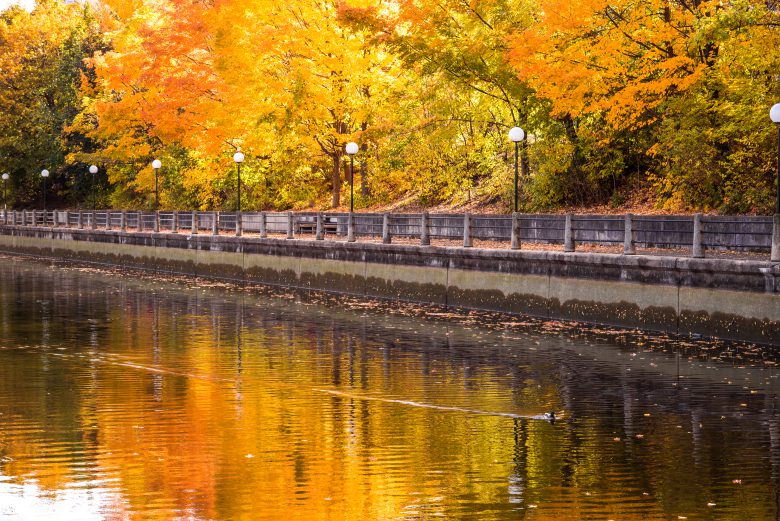 bridge-ottawa